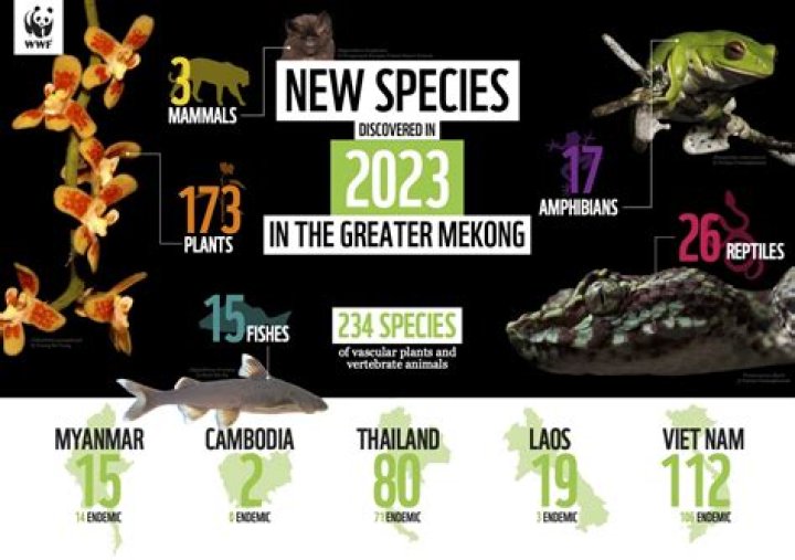 The new species was found in Bavaria, Germany
