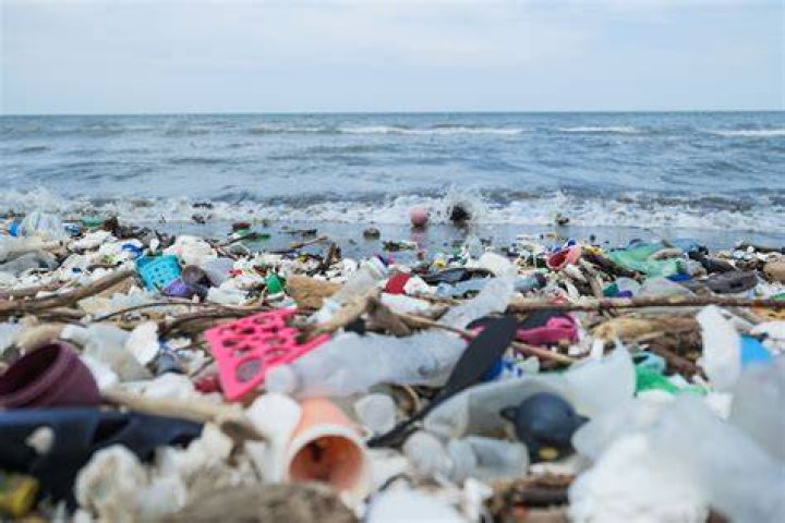 The oceans are filled with deadly predators