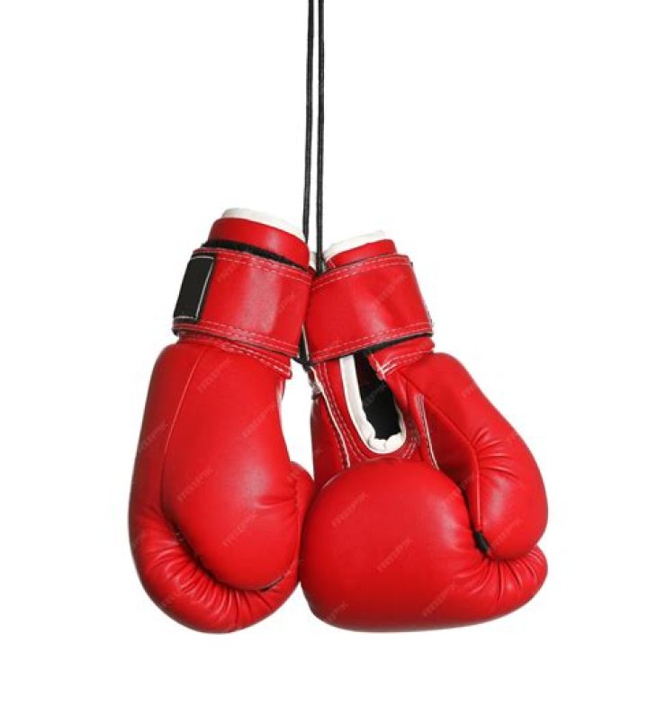 The pair are boxing and MMA's hot power couple
