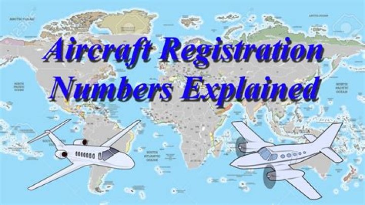 The plane was registered to a company owned by the Laras