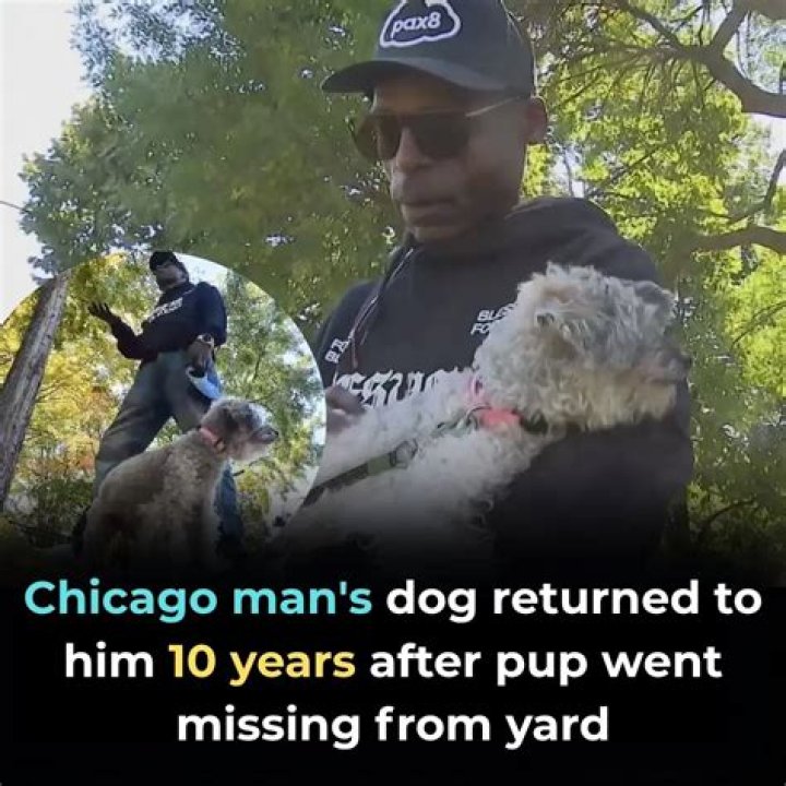 The pup went missing after she was chased by another dog