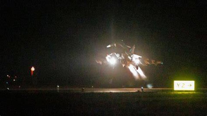 The RAF aircraft was struck by a BIRD mid-flight