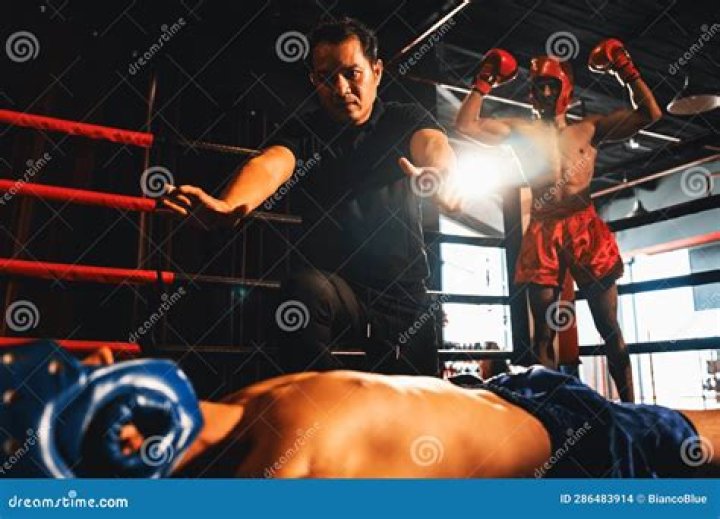 The referee adjusts the fighter's top before letting the bout continue
