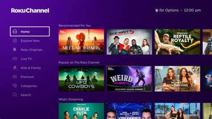 The Roku Channel features a number of hit shows