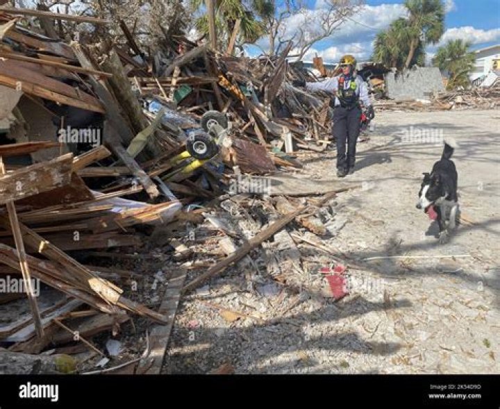 The search for debris from the plane continues