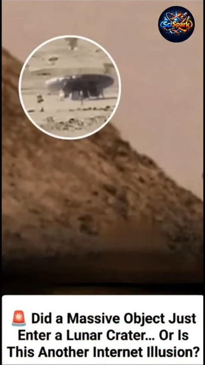 The shocking clip was filmed in a flooded watermelon field in Russia