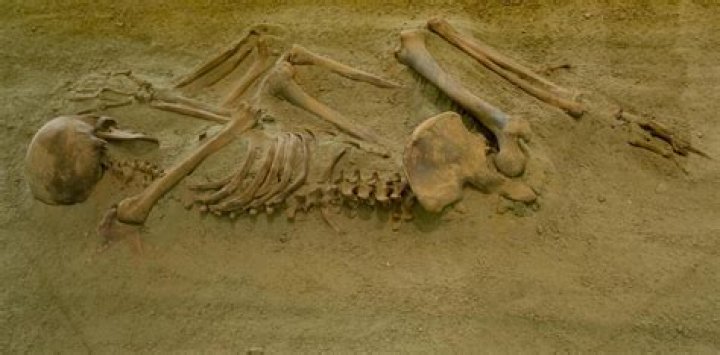  The skeletal remains of the male were nearly complete