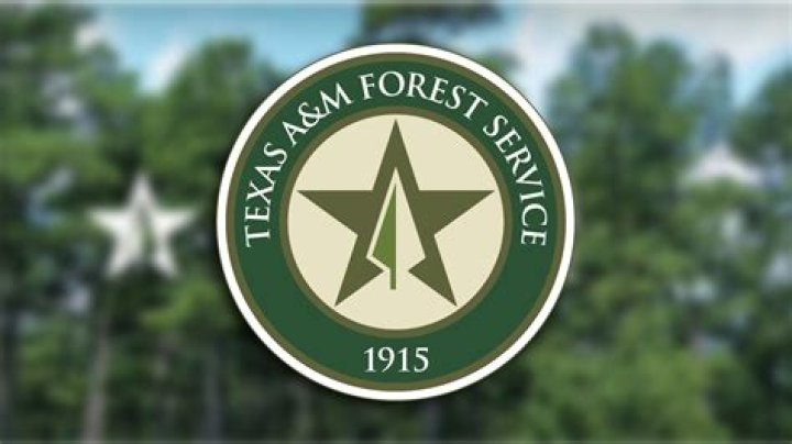 The Texas A&M Forest Service has resources including heavy equipment, engines, and TIFMAS strike teams responding
