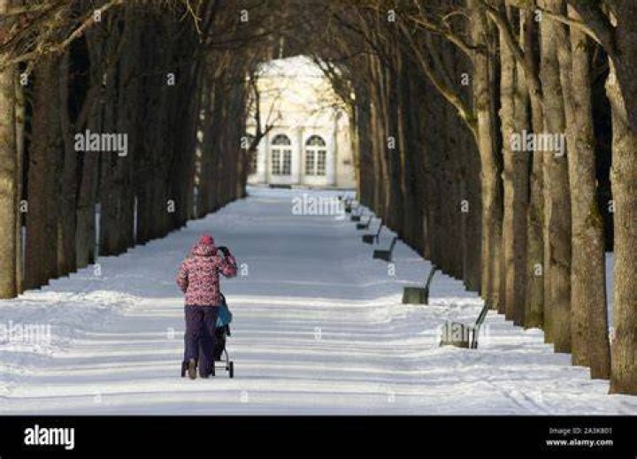 The unidentified woman then walks away with a man and the child before turning back, picking up the pole used to divide lines and running at staff