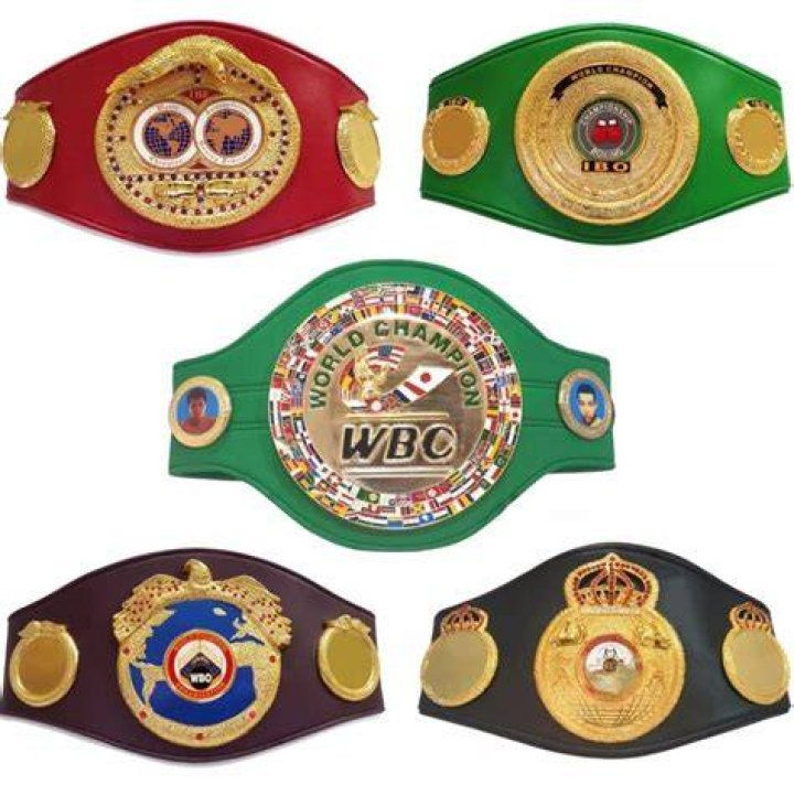 The WBA, WBC, WBO and IBF welterweight titles will be on the line this weekend