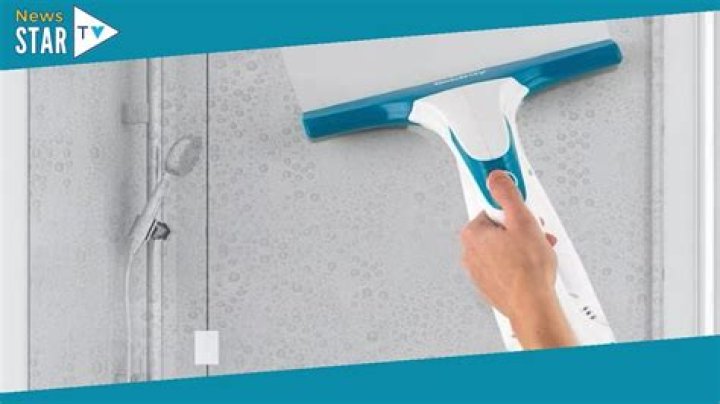 The window vac was slashed to &pound;5, so the shopper picked up a few