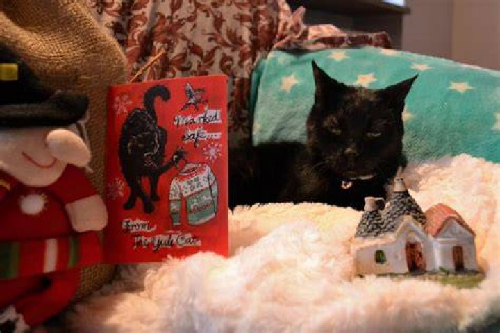The Yule Cat eats lazy farmers as punishment for their behaviour