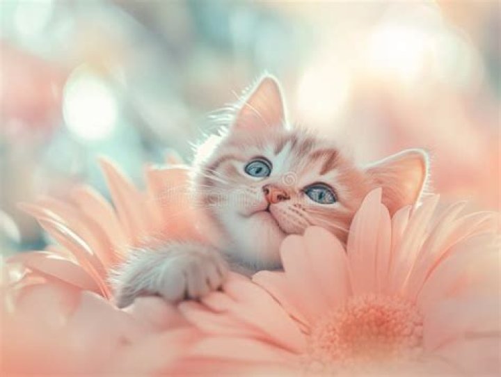 There are adorable portraits inside