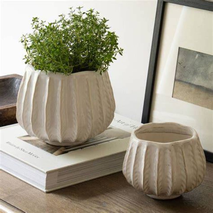 These ribbed ceramic pots looked great on her sideboard