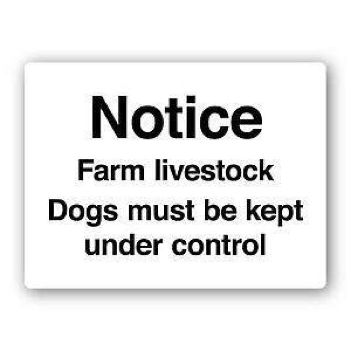  They must be kept under control but, dogs are more than welcome