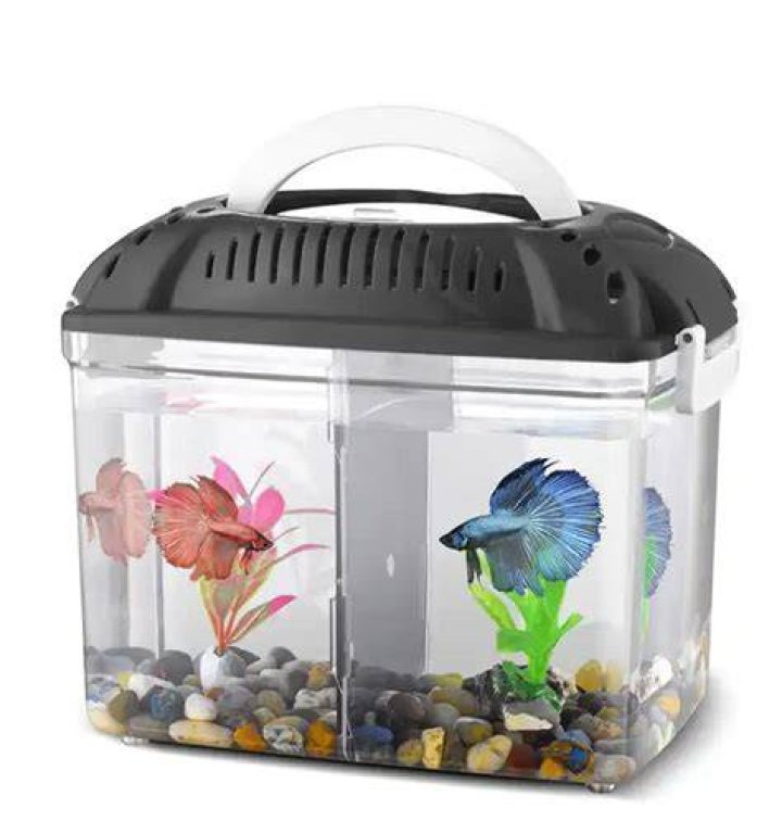  They run a fish tank business with Heather's brother, Brett Raymer