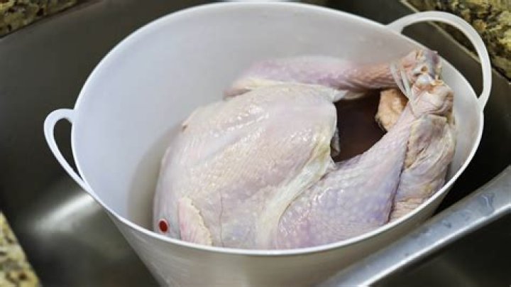 This uncooked Turkey appears to be 'chilling' in a sink