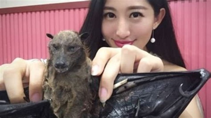  This video of Wang Mengyun eating a bat went viral