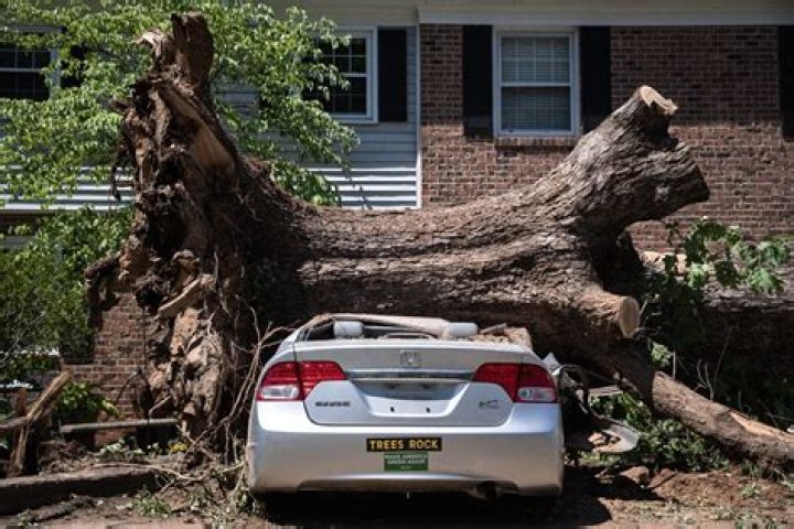 Trees damaged cars in Plymouth in the aftermath of the storm today