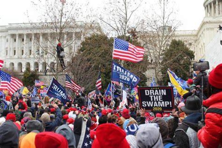 Trump supporters breached the Capitol last week 