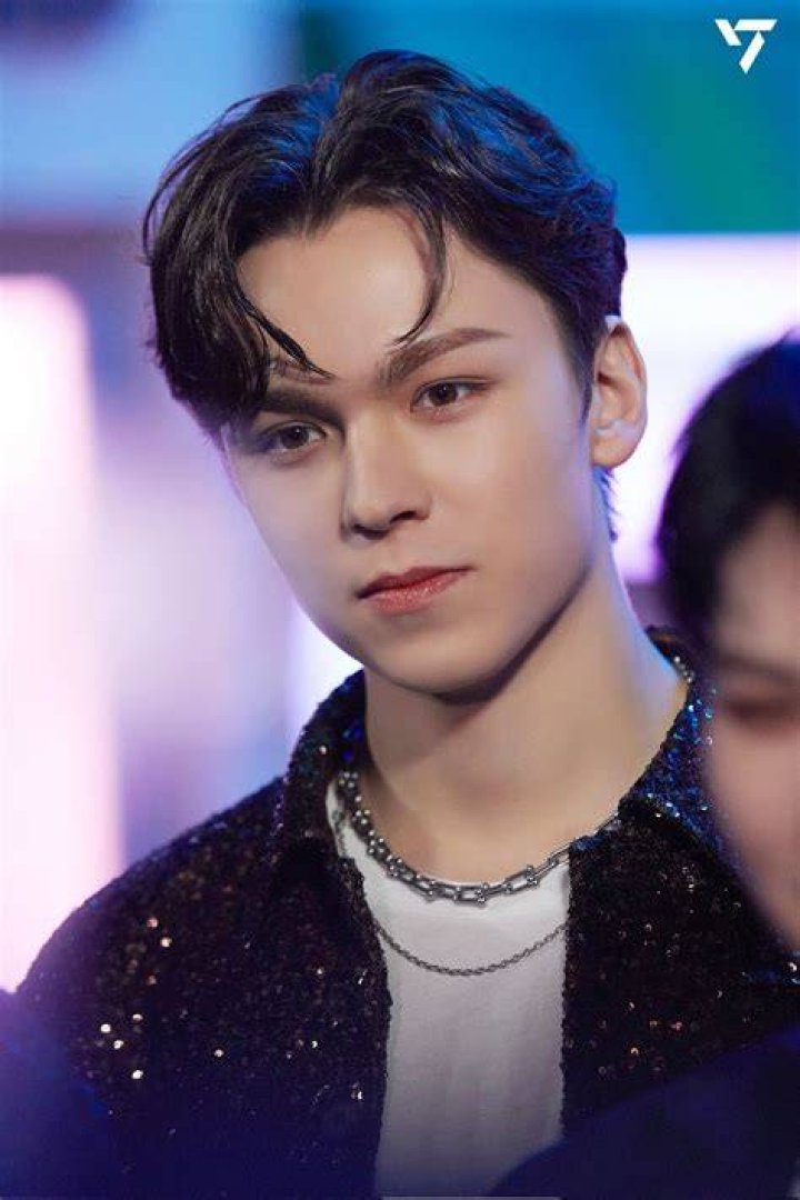 Vernon showed off his best moves dressed as Lumière - the candlestick from Beauty And The Beast