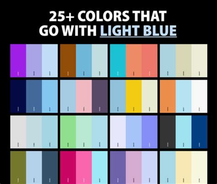 Which color looks best? 