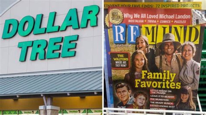 While Dollar Tree is loved for deals on everyday needs, it is a top destination for saving on summer goodies