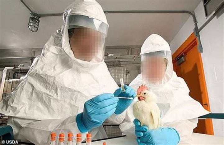 White Coat Waste obtained photos of animal experiments