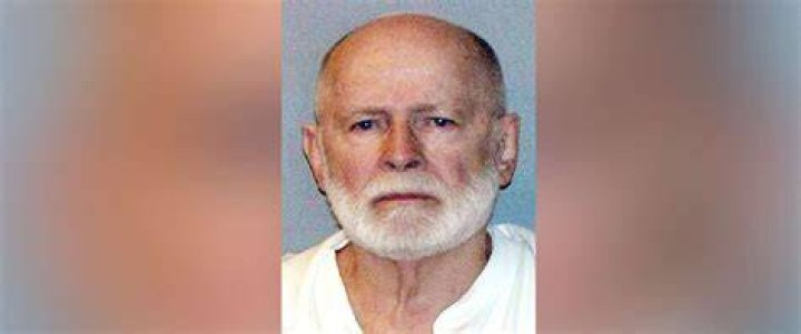 Whitey Bulger's younger brother William stands next to his casket in the documentary titled My Name Is Bulger