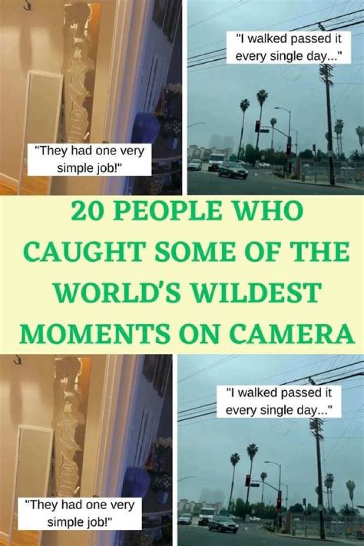 Wildest moments of the year