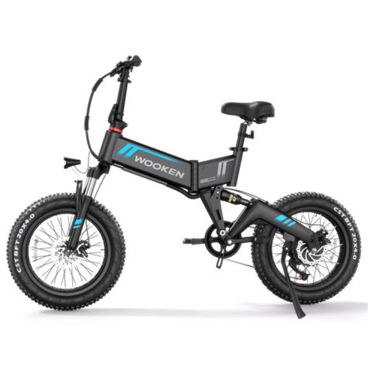 Wooken Electric Bike
