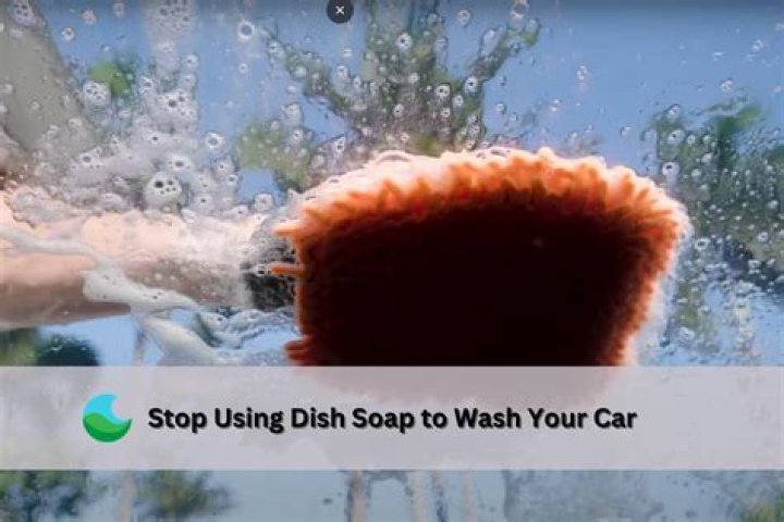 You should, instead, use dish soap to kill them