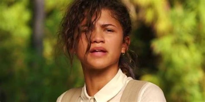  Zendaya starred as MJ in Spider-Man Homecoming and Spider-Man: Far From Home